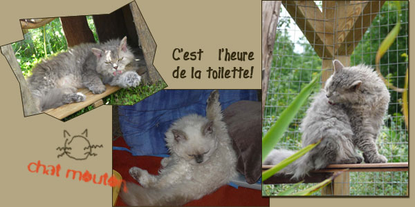 Chatterie des Jardins de Bubastis